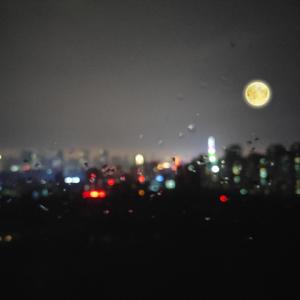 国产这里有精品视频
