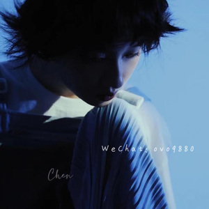 国产这里有精品视频
